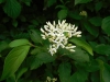 1dscn3127