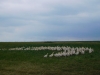 1dscn3155
